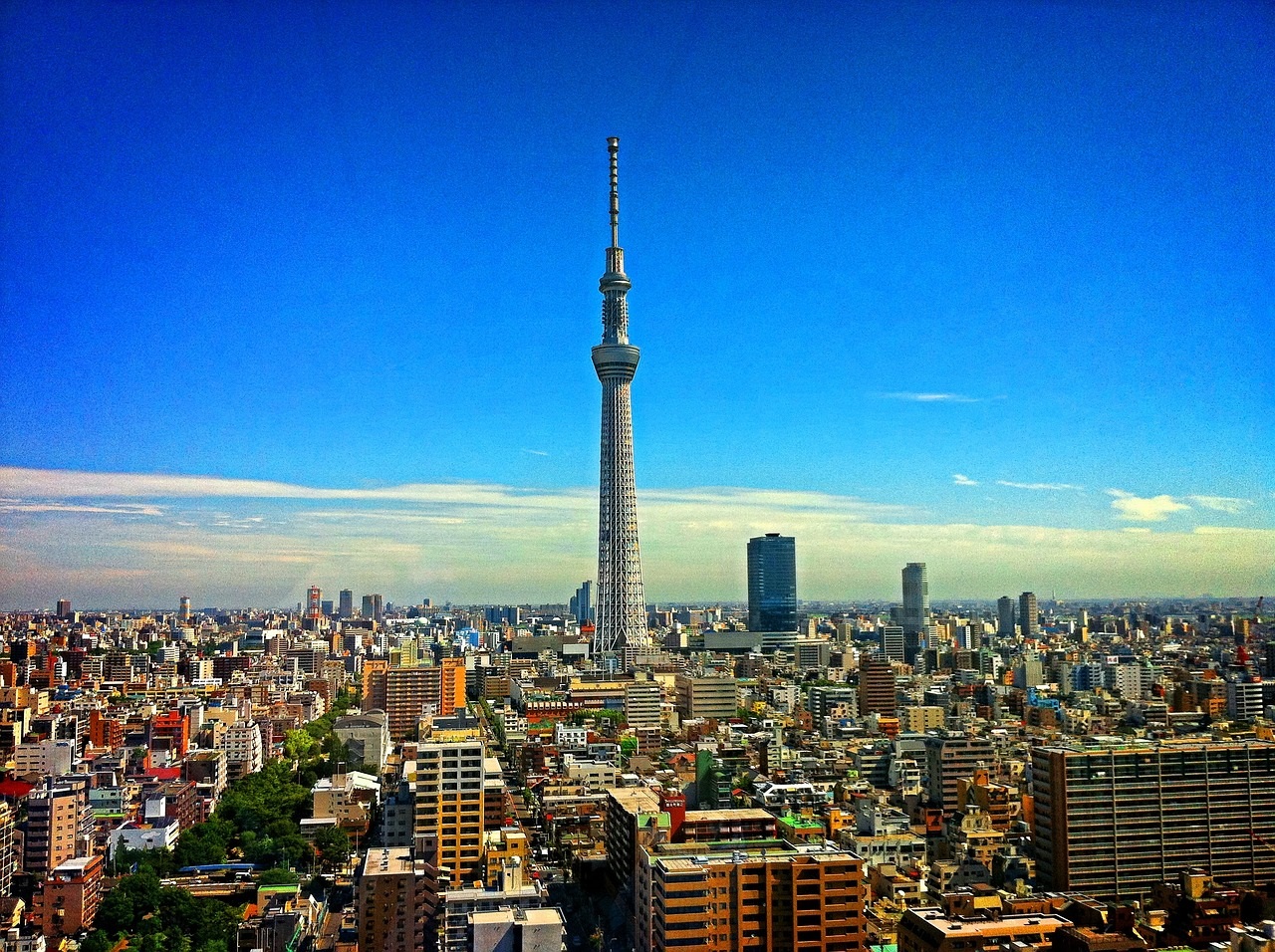 東京皮膚科アイキャッチ画像